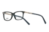 Imagen de AXESS 5098 BLUE TORTOISE 54-15-140