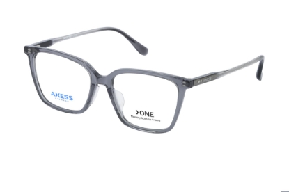 Imagen de AXESSONE 1481 GREY 53-17-148