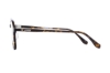 Imagen de AXESSONE 1482 TORTOISE 56-17-148