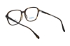 Imagen de AXESSONE 1482 TORTOISE 56-17-148